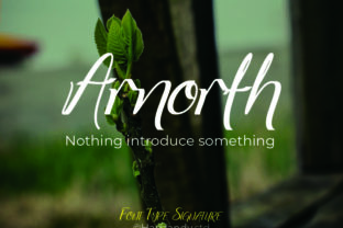 Arnorhth: A Cool Display Font for Your Business Branding